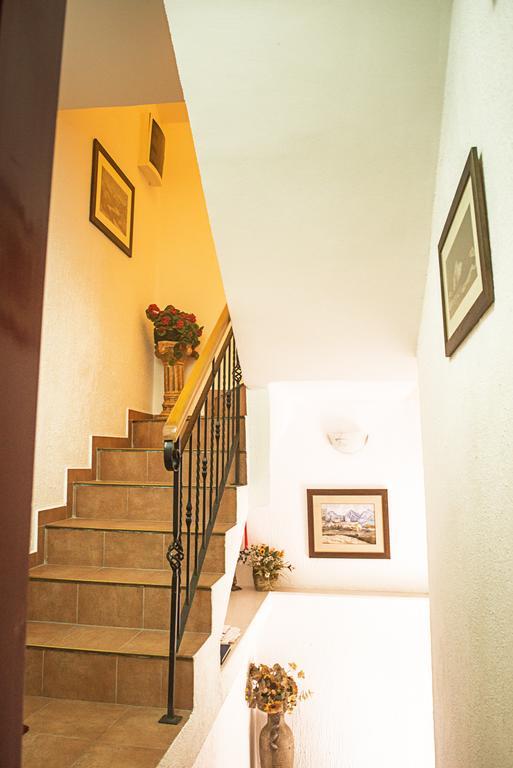 Apartments Villa Ferri Kotor Buitenkant foto